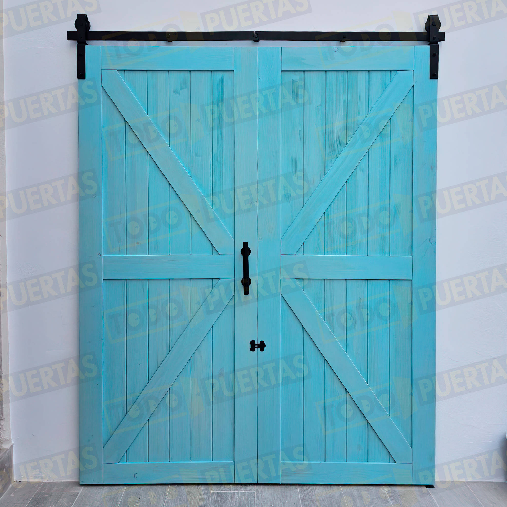 Foto Puertas de Entrada cliente 6