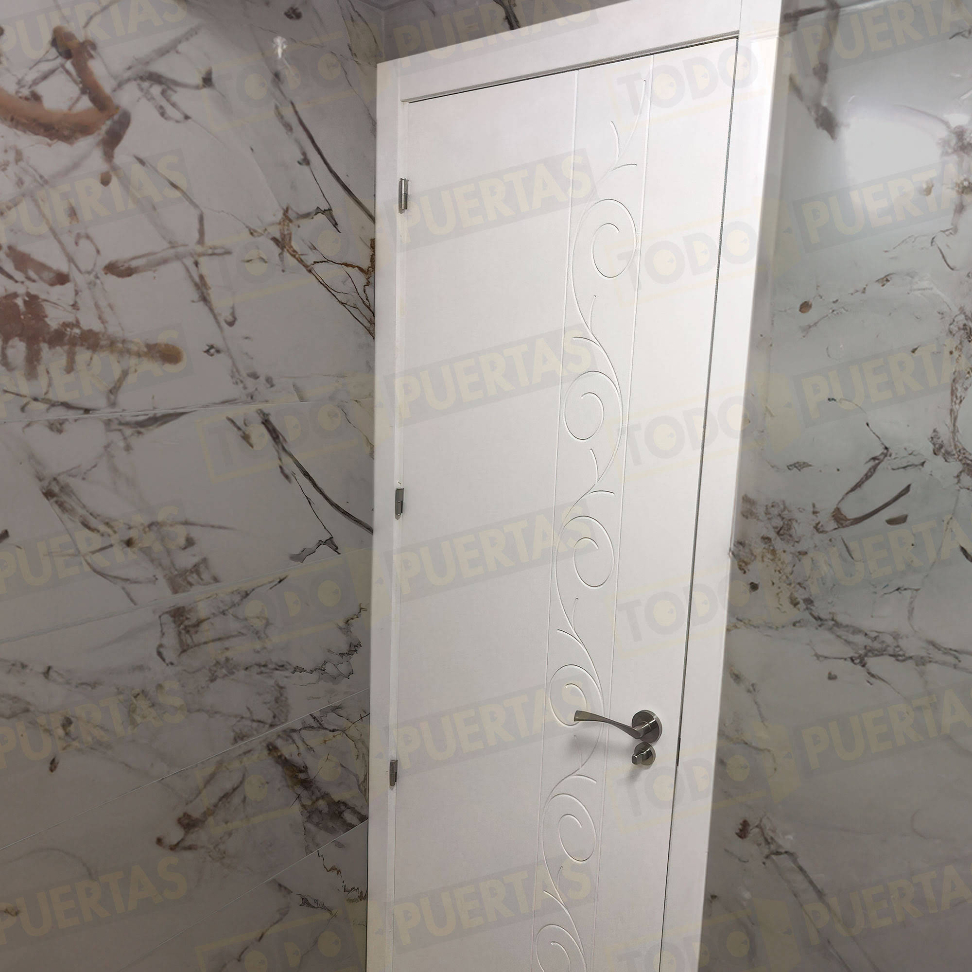 Foto Puertas de Entrada cliente 6