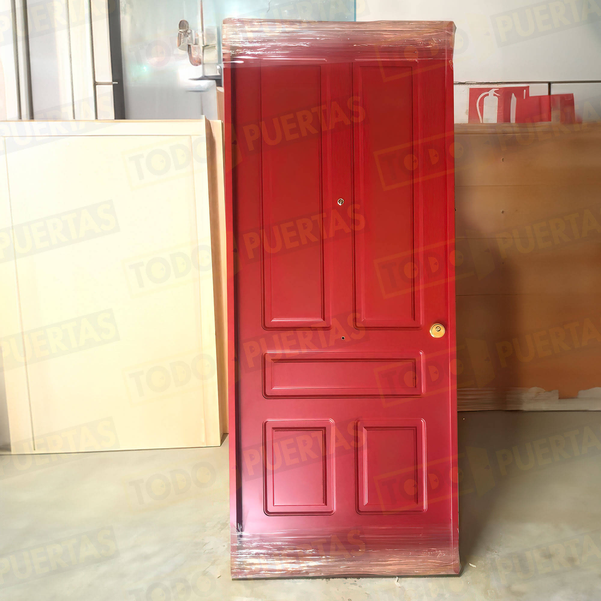 Foto Puertas Blindadas Modernas cliente 9