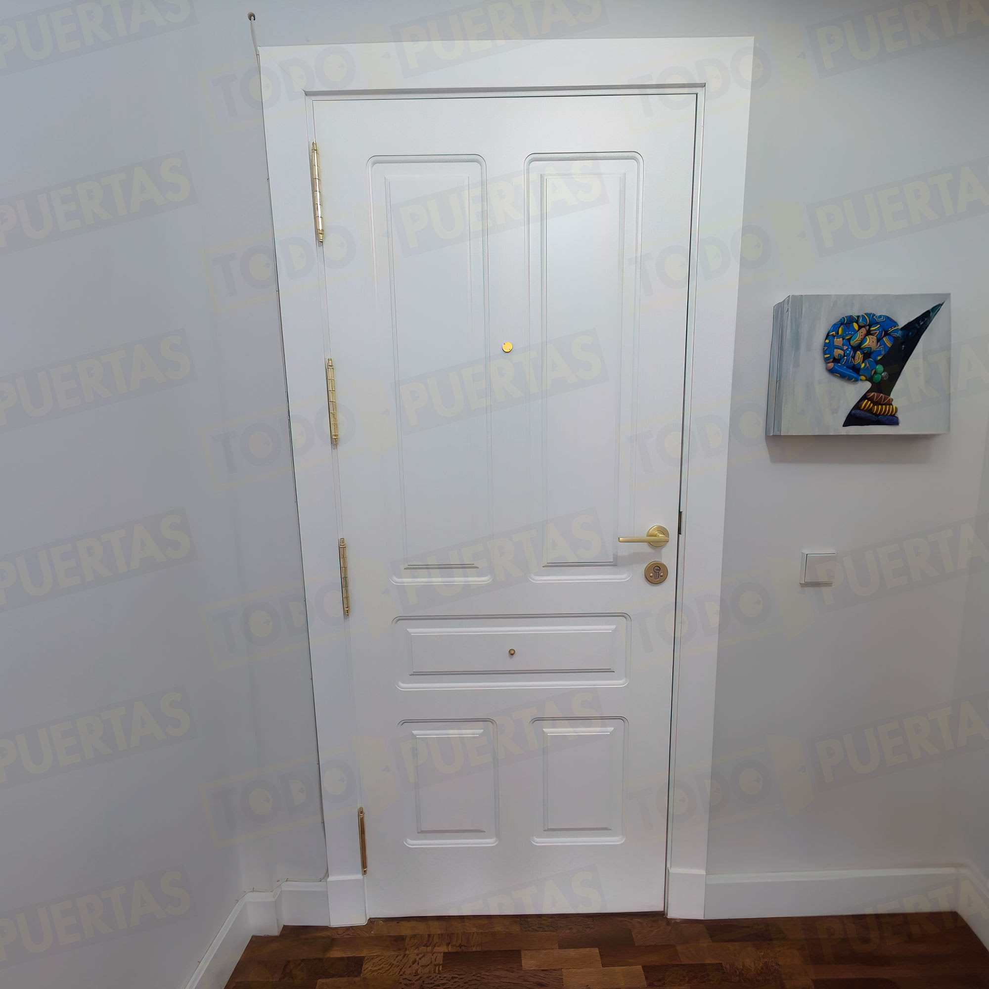Foto Puertas Blindadas Modernas cliente 12