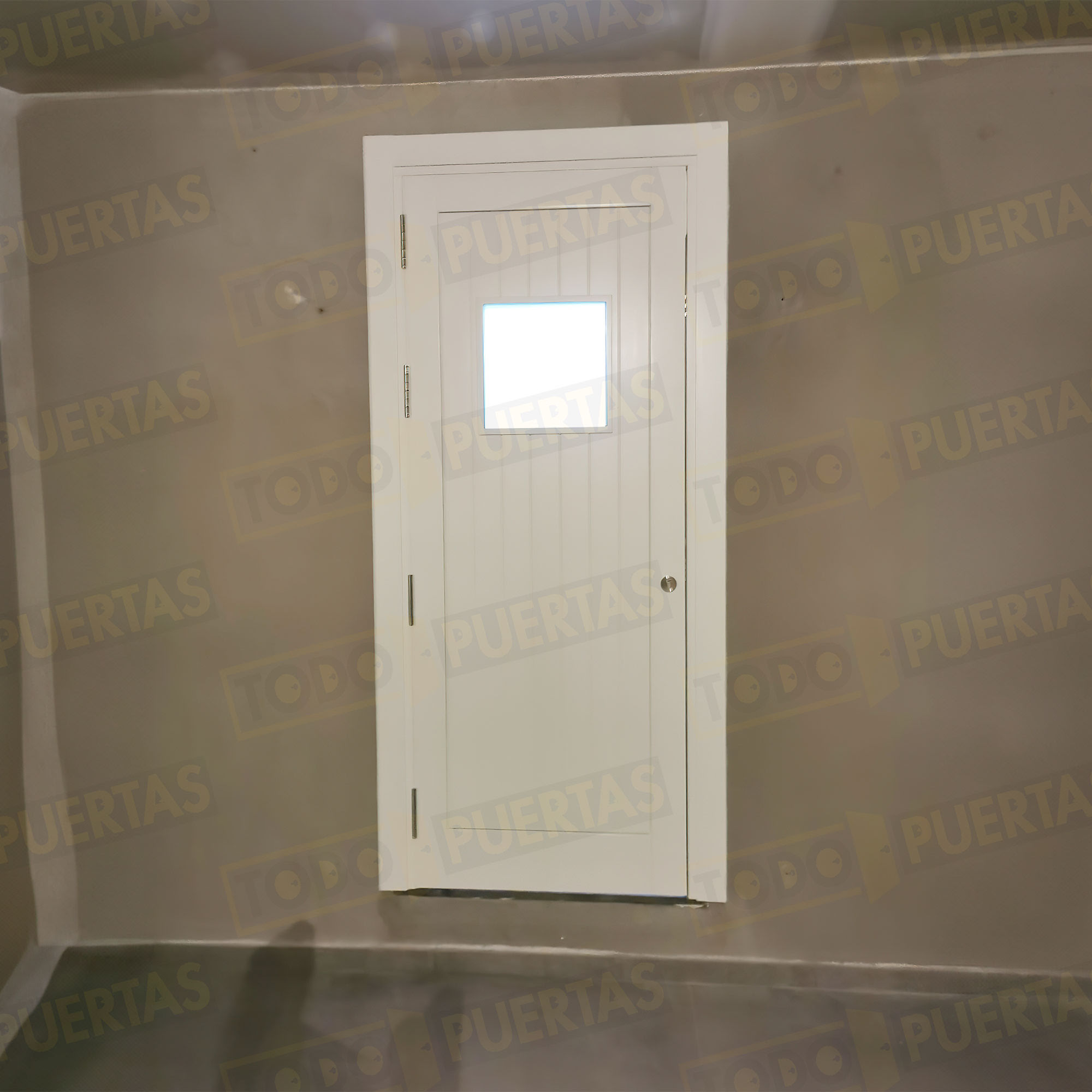 Foto Puertas Blindadas Modernas cliente 6