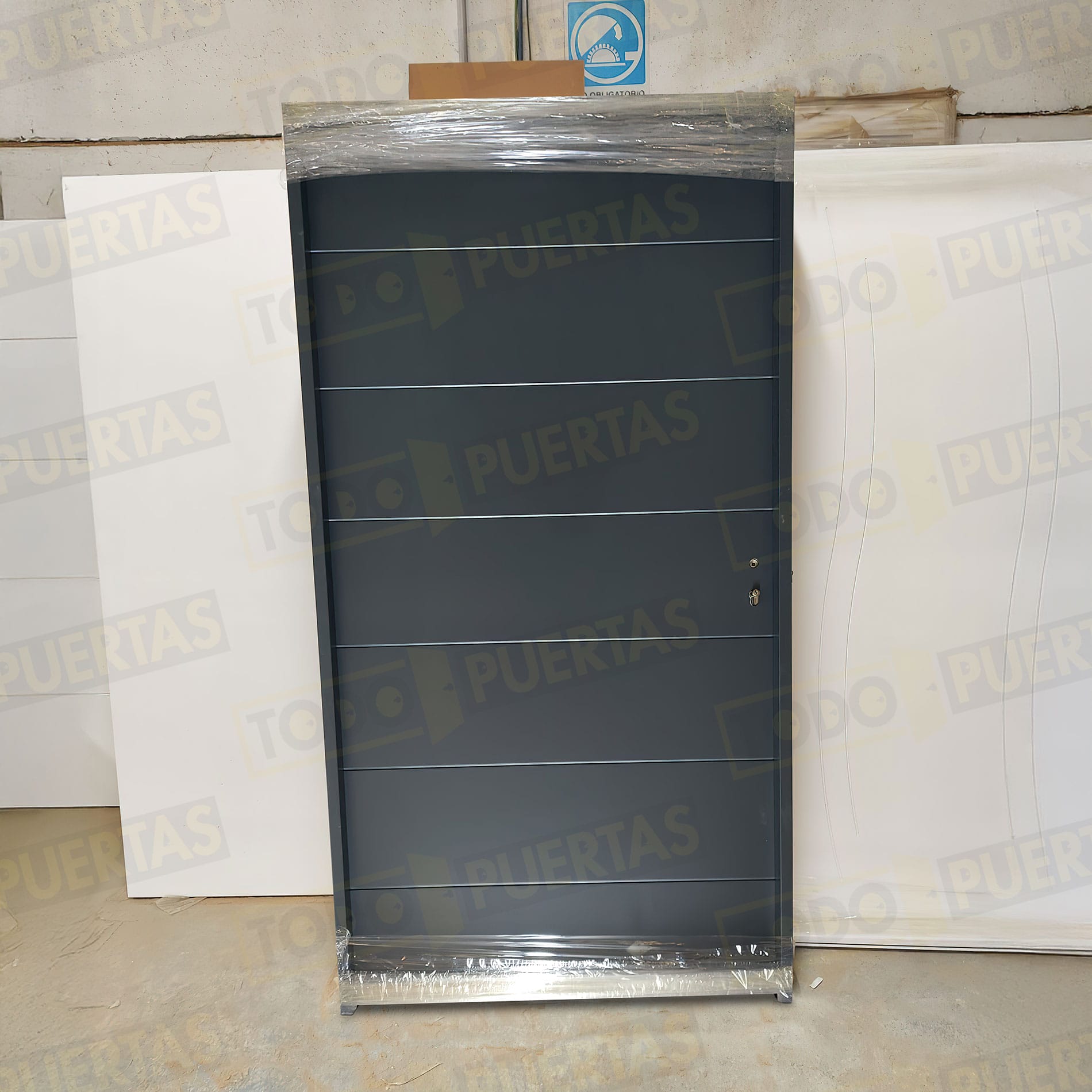 Foto Puertas de Entrada cliente 22