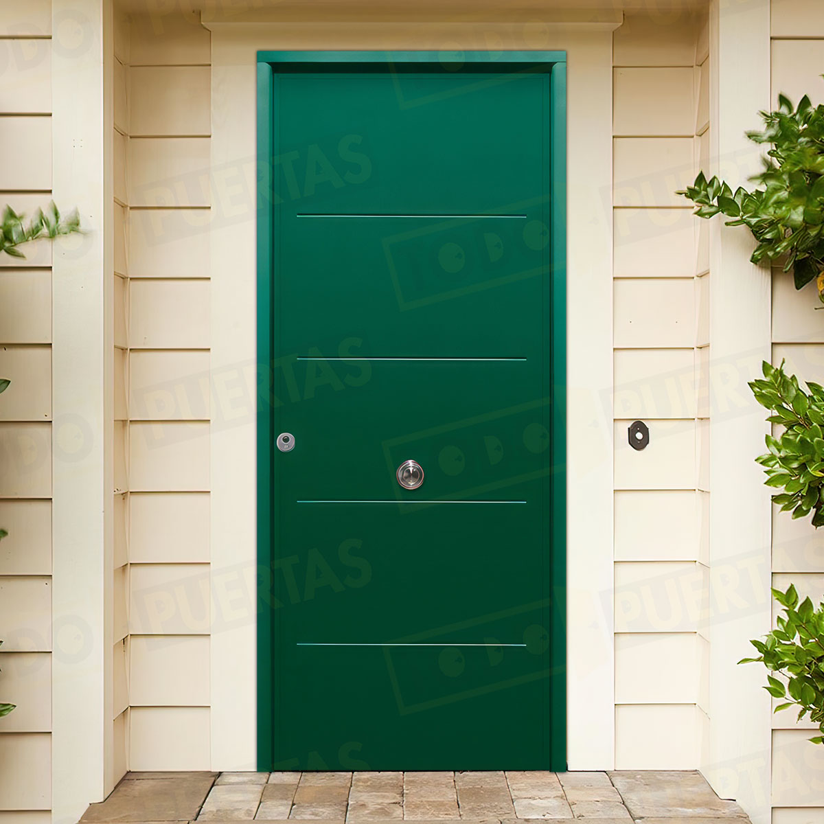 Puerta Acorazada 1105 Sagacor 100 Verde Musgo 6005 (Dos Caras Iguales)