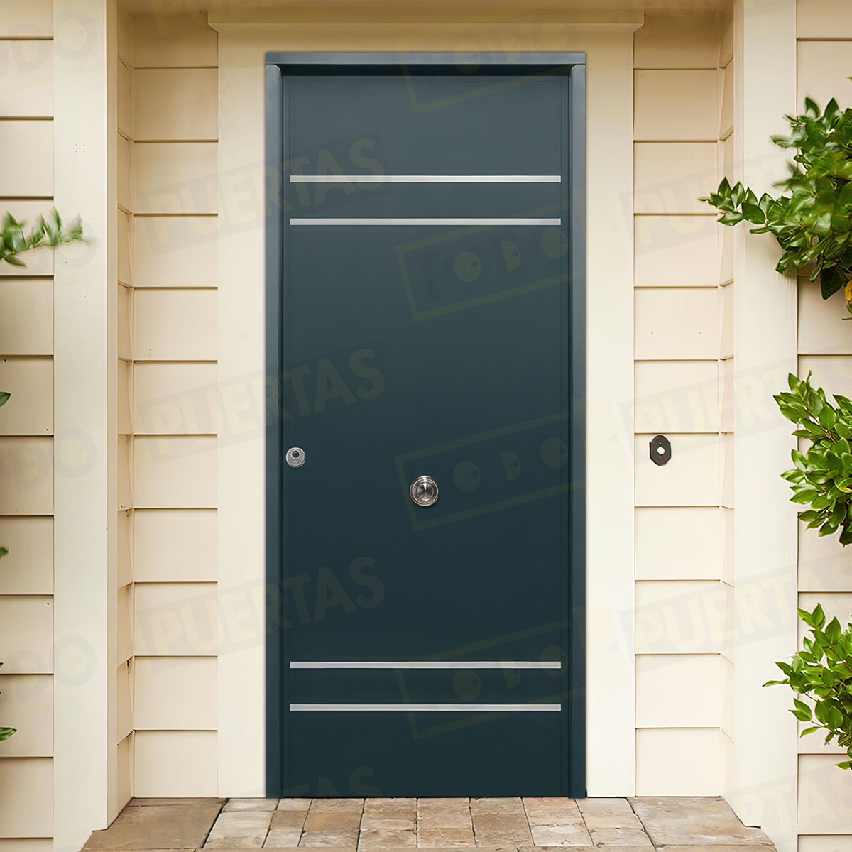 Puerta Acorazada Azalea FM Sagacor 100 Gris Antracita 7016 (Dos Caras Iguales)