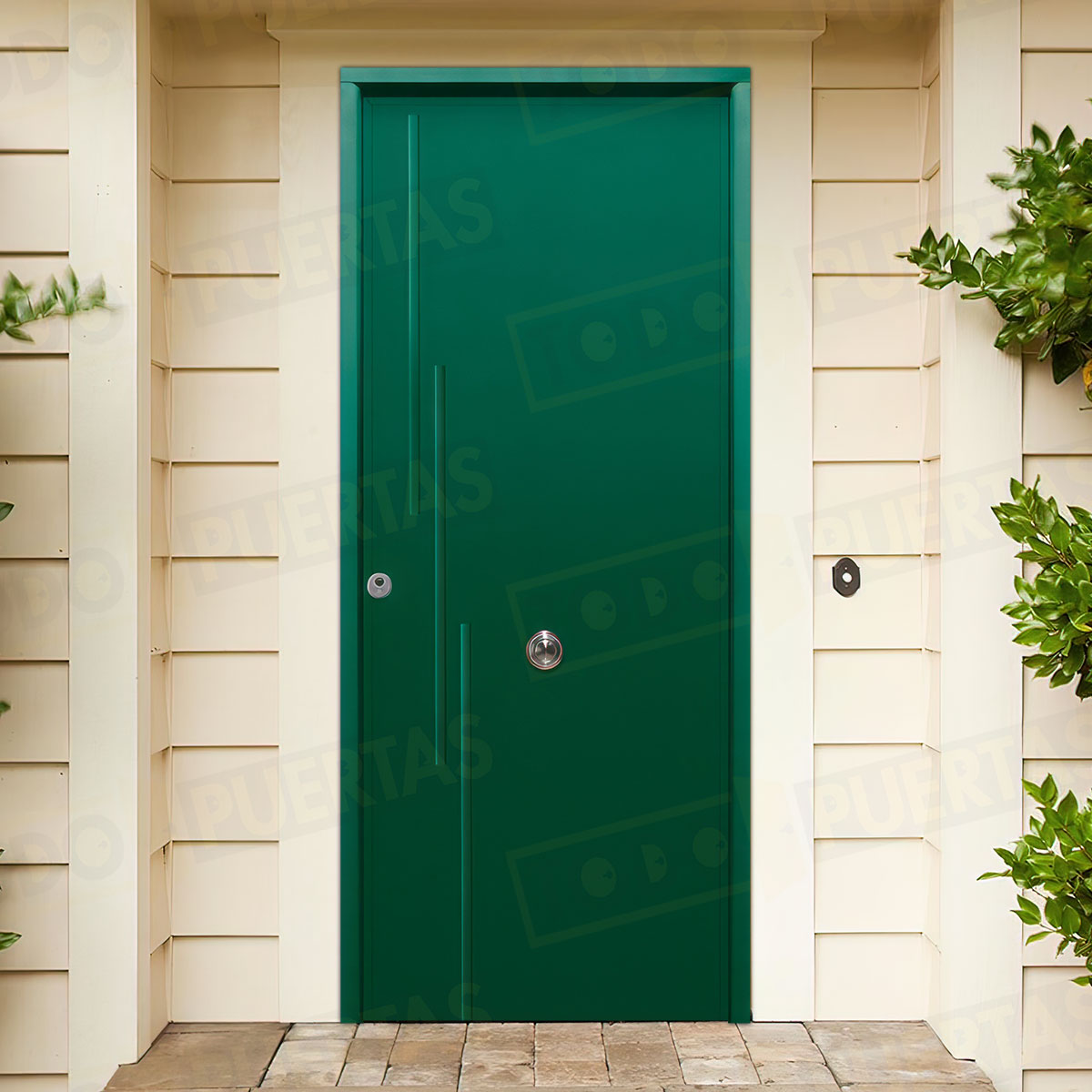 Puerta Acorazada Camelia Sagacor 100 Verde Musgo 6005 (Dos Caras Iguales)