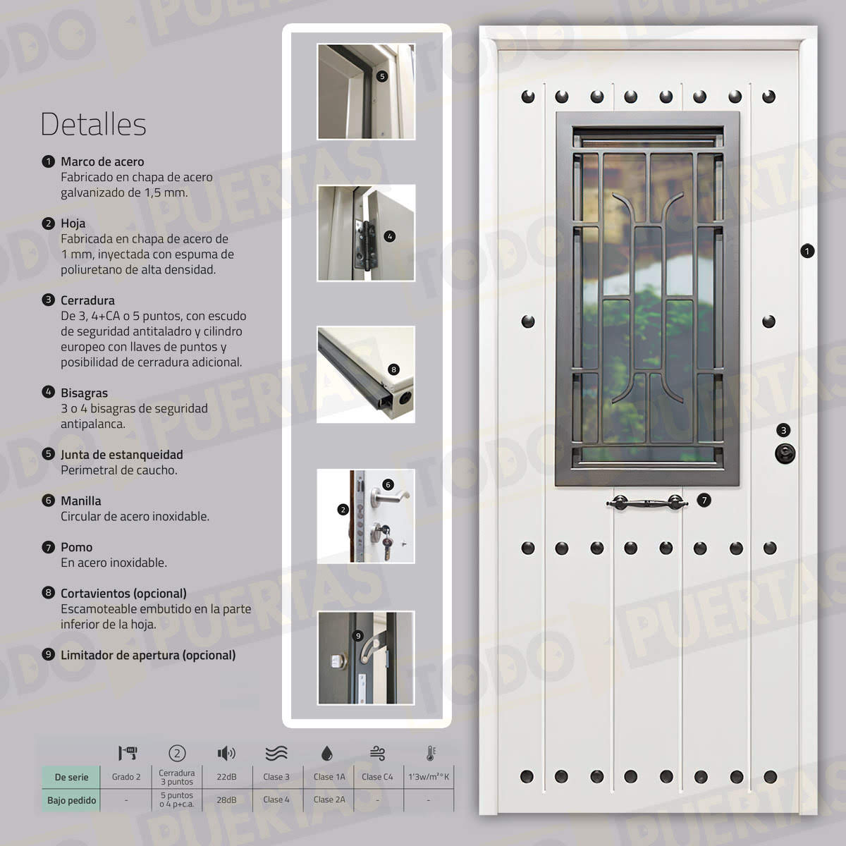 Puerta Galvanizada 1130 / 1110 Saga 100 Embero (Cara Interior Lisa)